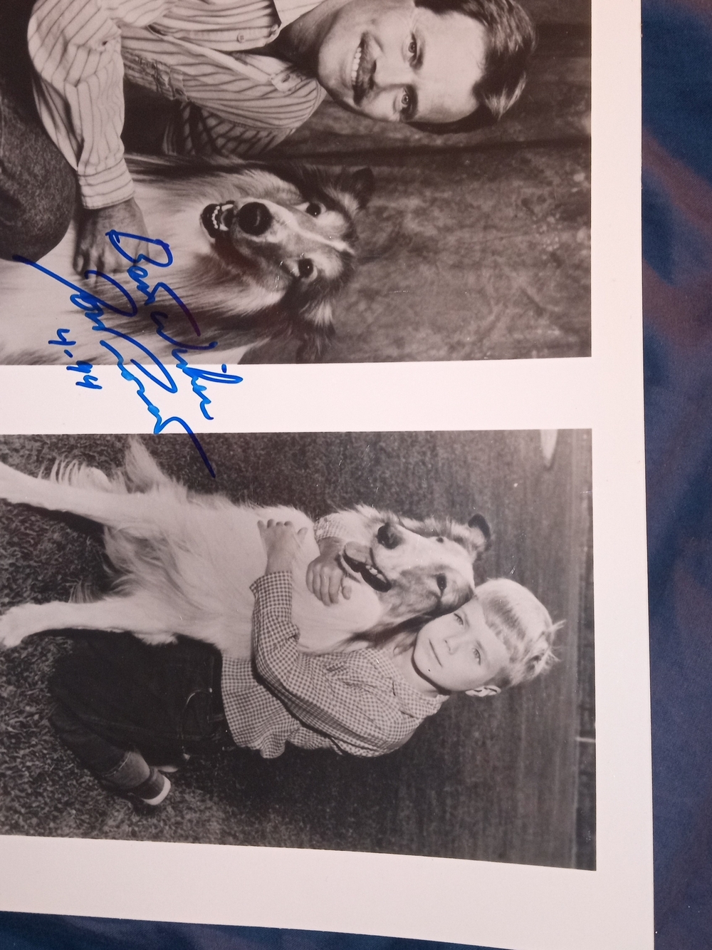Signed Photo Of Provost as a child And Adult For The Set Of Lassie (1957-1964)